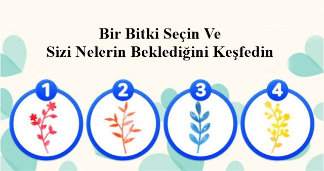 Bir Bitki Seçin Ve Sizi Nelerin Beklediğini Keşfedin