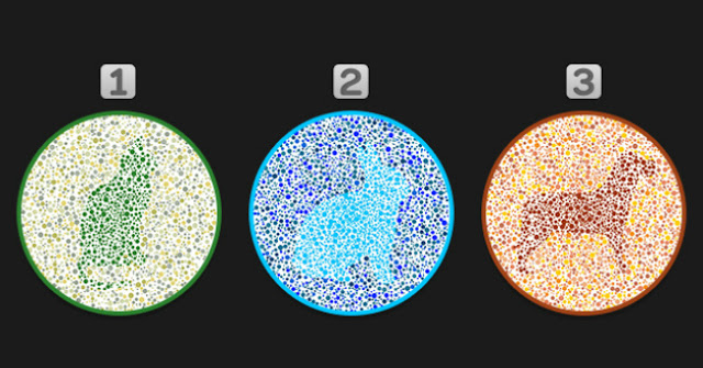Resimde İlk Önce Hangi Hayvanı Gördünüz? Cevabınız, Kişiliğiniz Hakkında Çok Şey Söyleyebilir!