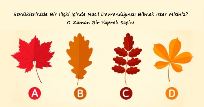 Sevdiklerinizle Bir İlişki İçinde Nasıl Davrandığınızı Bilmek İster Misiniz? O Zaman Bir Yaprak Seçin!