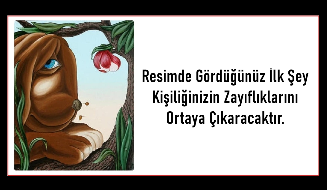 Resimde Gördüğünüz İlk Şey Kişiliğinizin Zayıflıklarını Ortaya Çıkaracaktır.