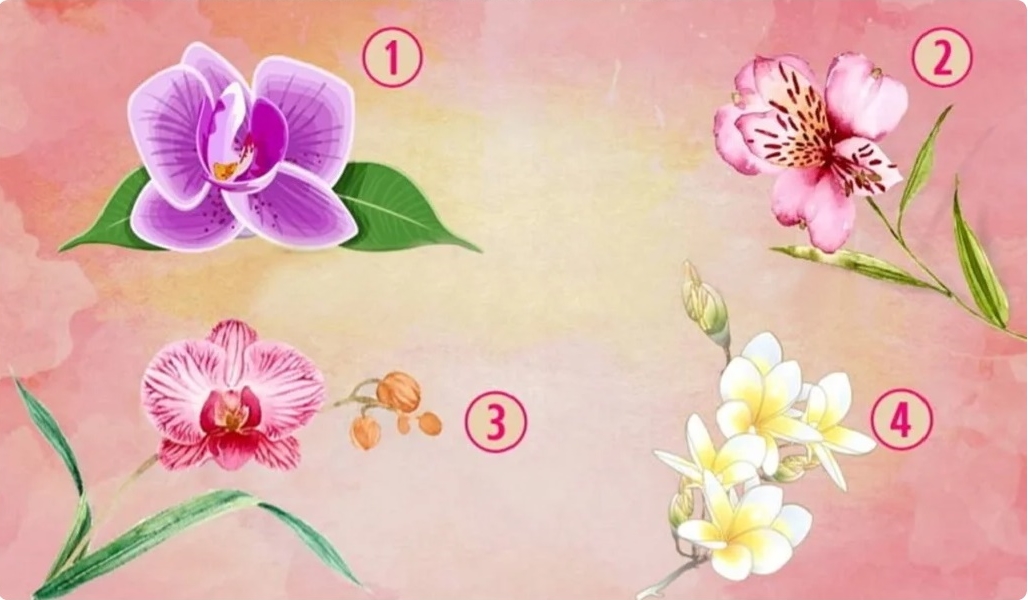 Seçtiğiniz Orkide Çiçeği Sizi Özel Bir Kişi Yapan Şeyi Ortaya Çıkaracak