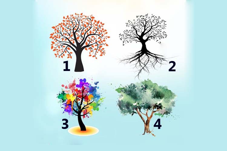 Bir Ağaç Seç ve Kişiliğinin Temel Özelliklerini Öğren