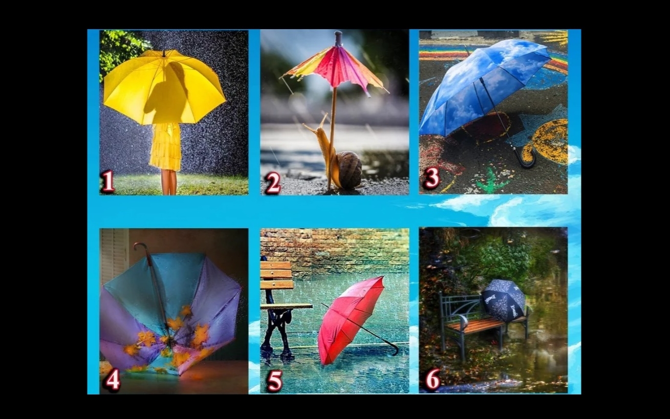 Bir Şemsiye Seç Ve Kendinle İlgili Harika Gerçekleri Öğren