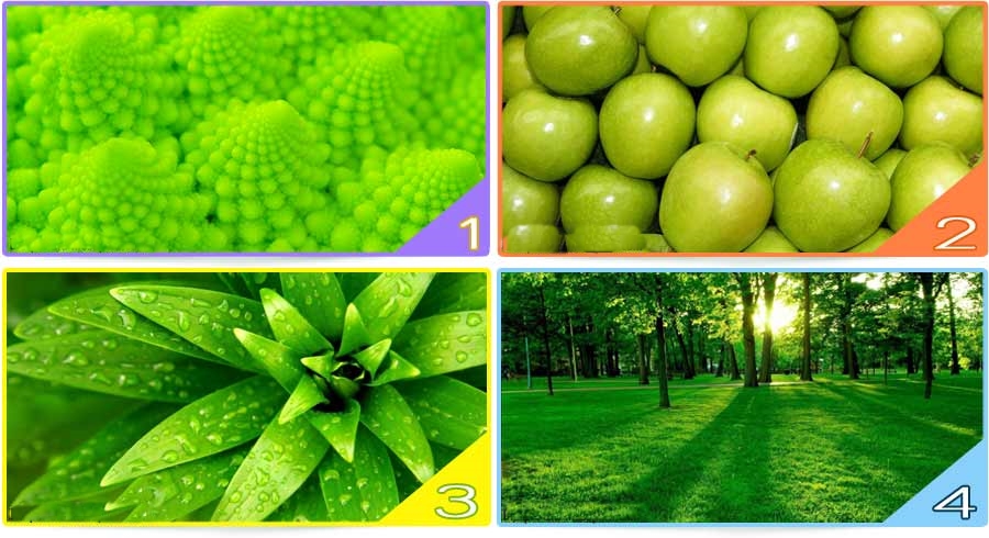 Yeşil Renk Testi: Bir Resim Seç Ve Kişilik Özelliklerini Keşfet