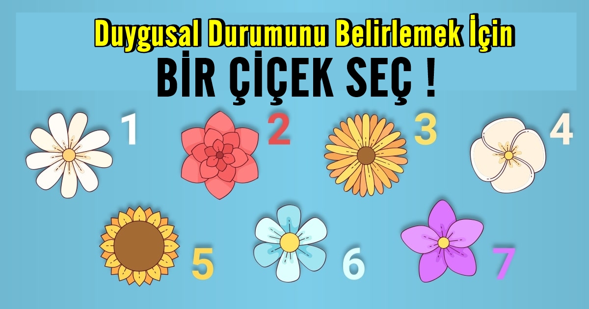 Duygusal Durumunu Belirlemek İçin Bir Çiçek Seç