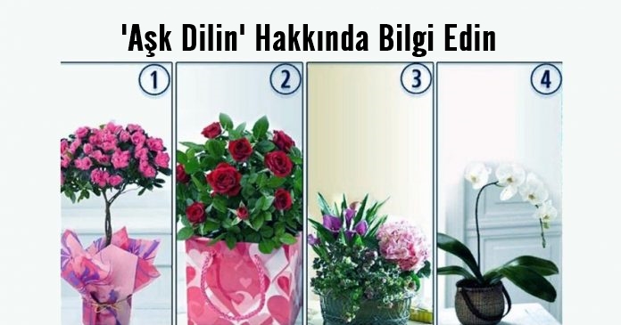 Duygularını Nasıl İfade Edersin? ‘Aşk Dilin’ Hakkında Bilgi Edin