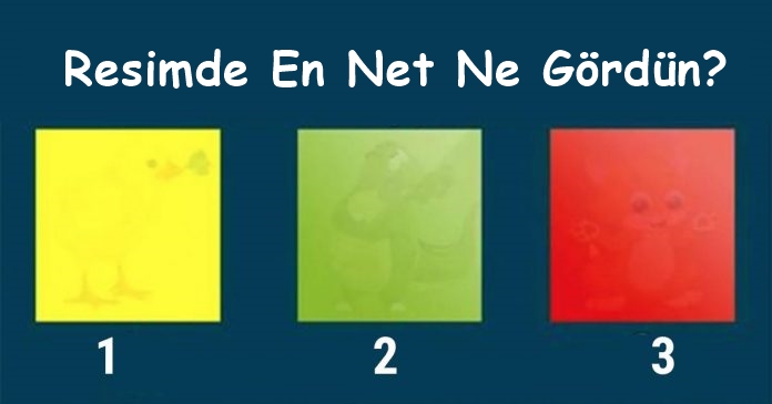 Resimde Gördüğün En Net Görüntü Gizli Karakter Özelliklerini Ortaya Çıkaracak