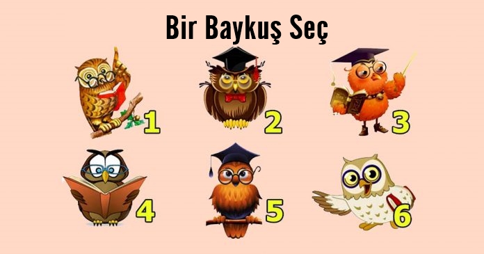 Seçtiğin Baykuş Hayatını İyileştirmek İçin Sana Tavsiye Verecek