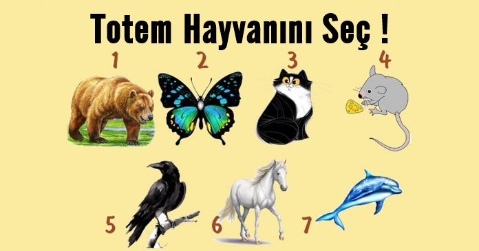 Totem Hayvanını Seç Ve Gizli Yeteneklerini Keşfet