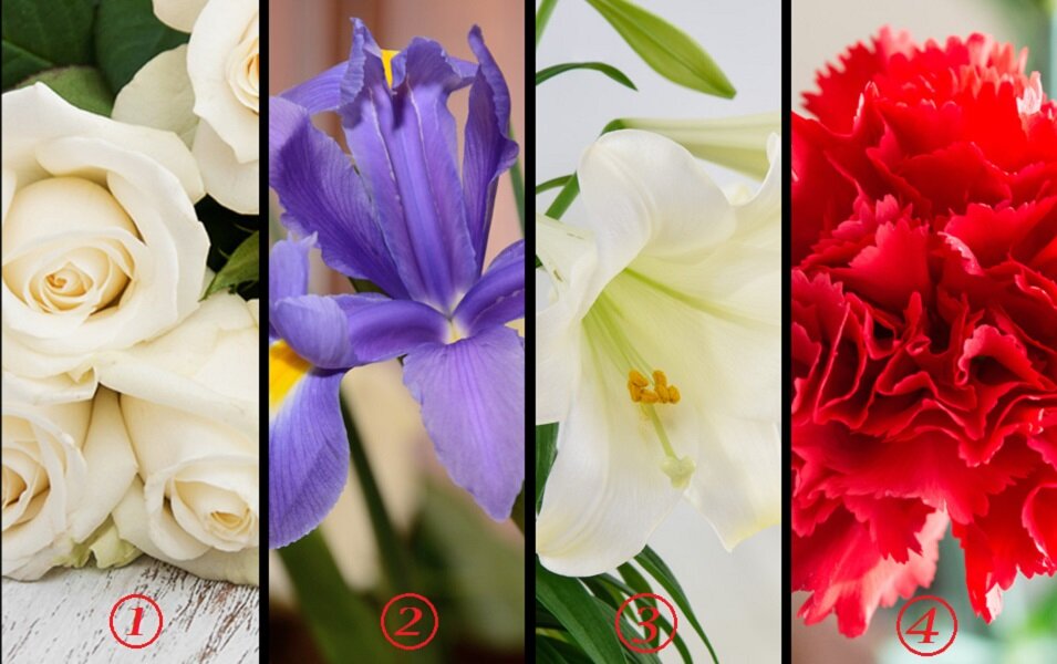 Bir Çiçek Seç Ve Duygularını Nasıl Sergilediğini Öğren