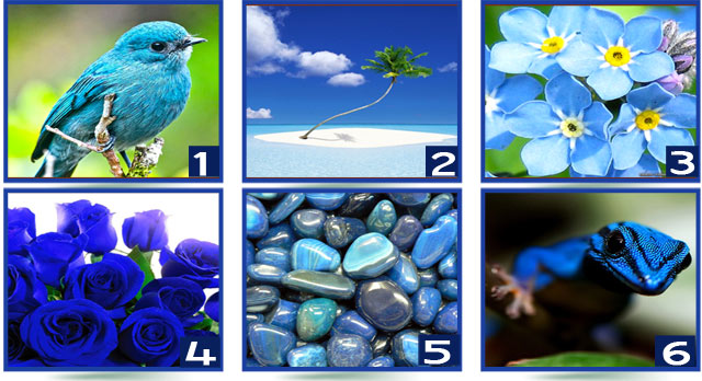 Mavi Renk Testi: Bir Resim Seç Ve Kişiliğinin Farklı Yönlerini Ortaya Çıkar