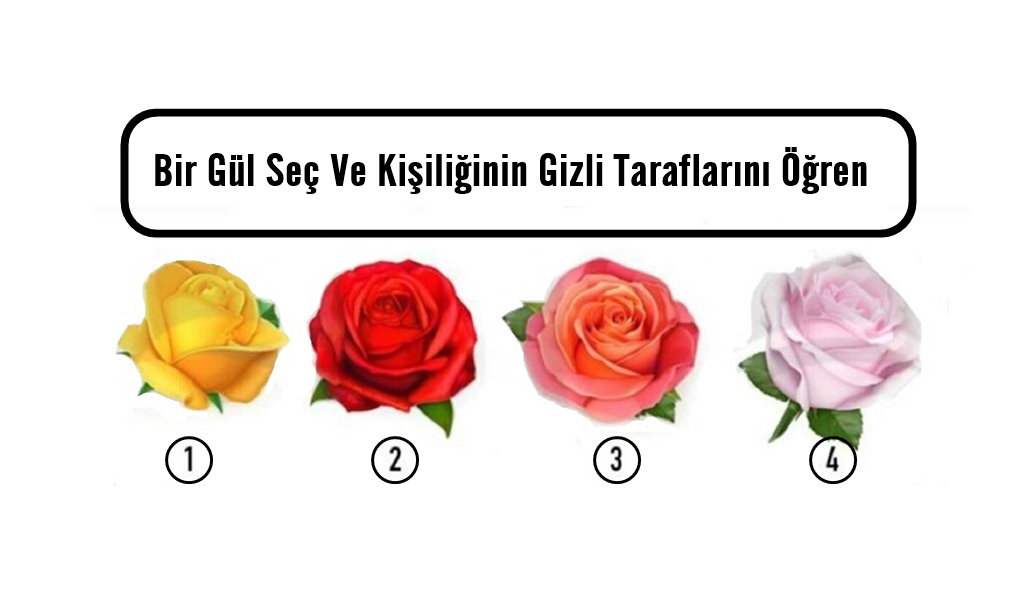 Bir Gül Seç Ve Kişiliğinin Gizli Taraflarını Öğren