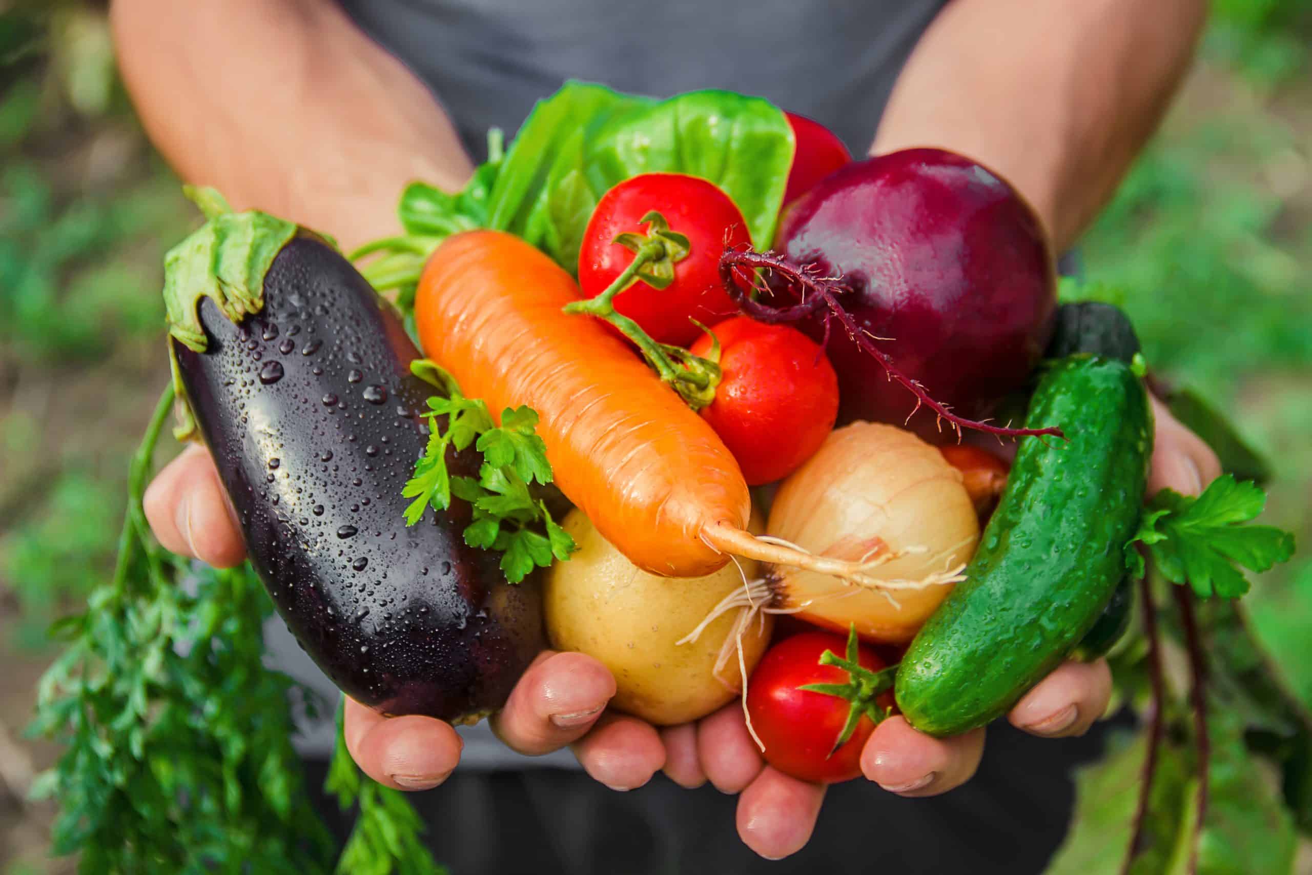 Sebzelerin Enerjisi: Sebzelerin Renklerinin Ruh Hali Ve İnsan Sağlığı Üzerindeki Etkisi